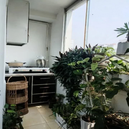 110متری چاله باغ 