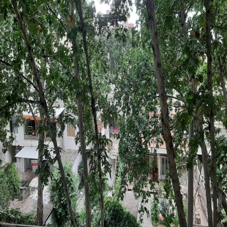 92متری گرگانپارس