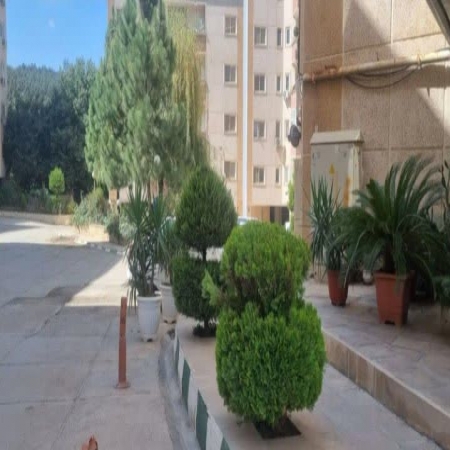 115متری صیاد