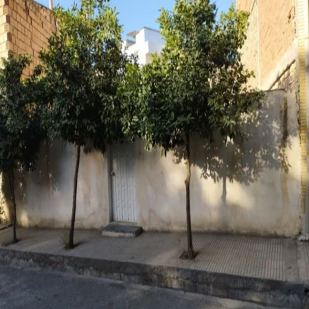 160متری چاله باغ 